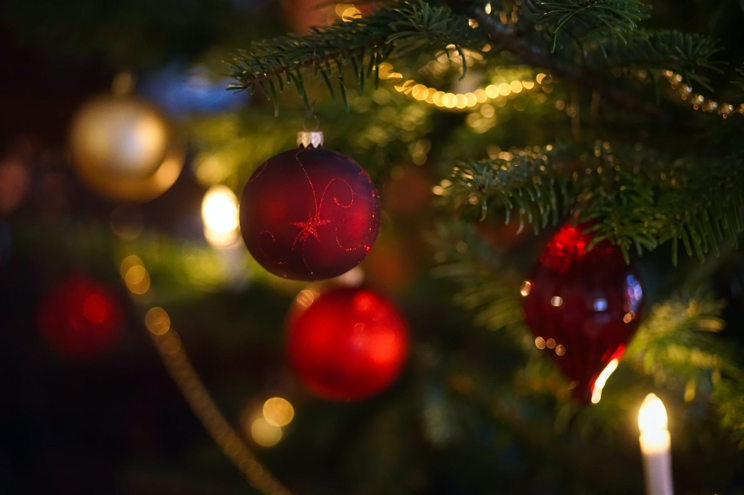 Christmas Photoshoots at Our Naples Ranch Wedding Venue